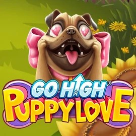 Play Go High Puppy Love slot by RubyPlay on naobet-casino.org